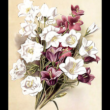 Схема вышивки «№2046581»