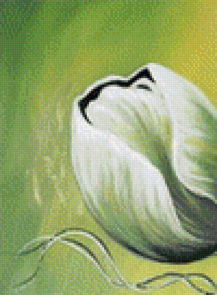 цветы на зелени_модуль1 - предпросмотр