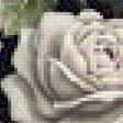 Предпросмотр схемы вышивки «розы» (№2046755)