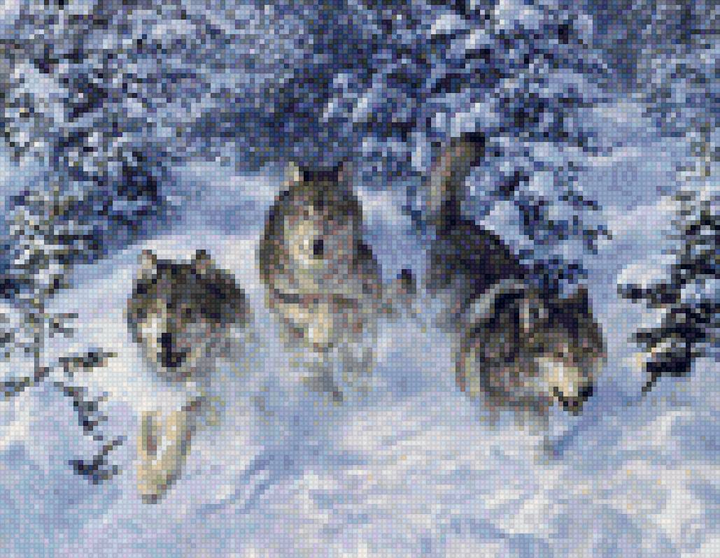 Волки - просто так - предпросмотр