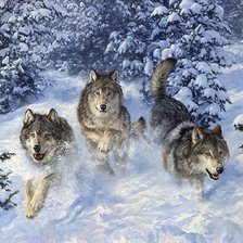 Схема вышивки «Волки»