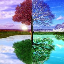 Схема вышивки «ARBOL»