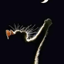 Схема вышивки «№2047082»