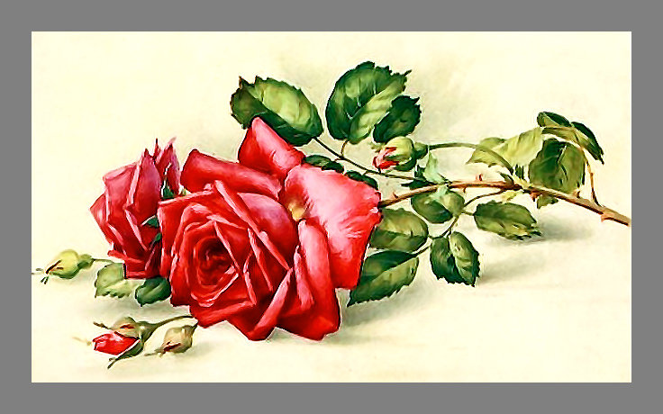 Серия "Розы". - розы, цветы, флора - оригинал