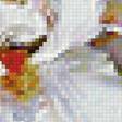 Предпросмотр схемы вышивки «Белые ирисы» (№2047279)