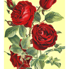 Оригинал схемы вышивки «Розы.» (№2047349)