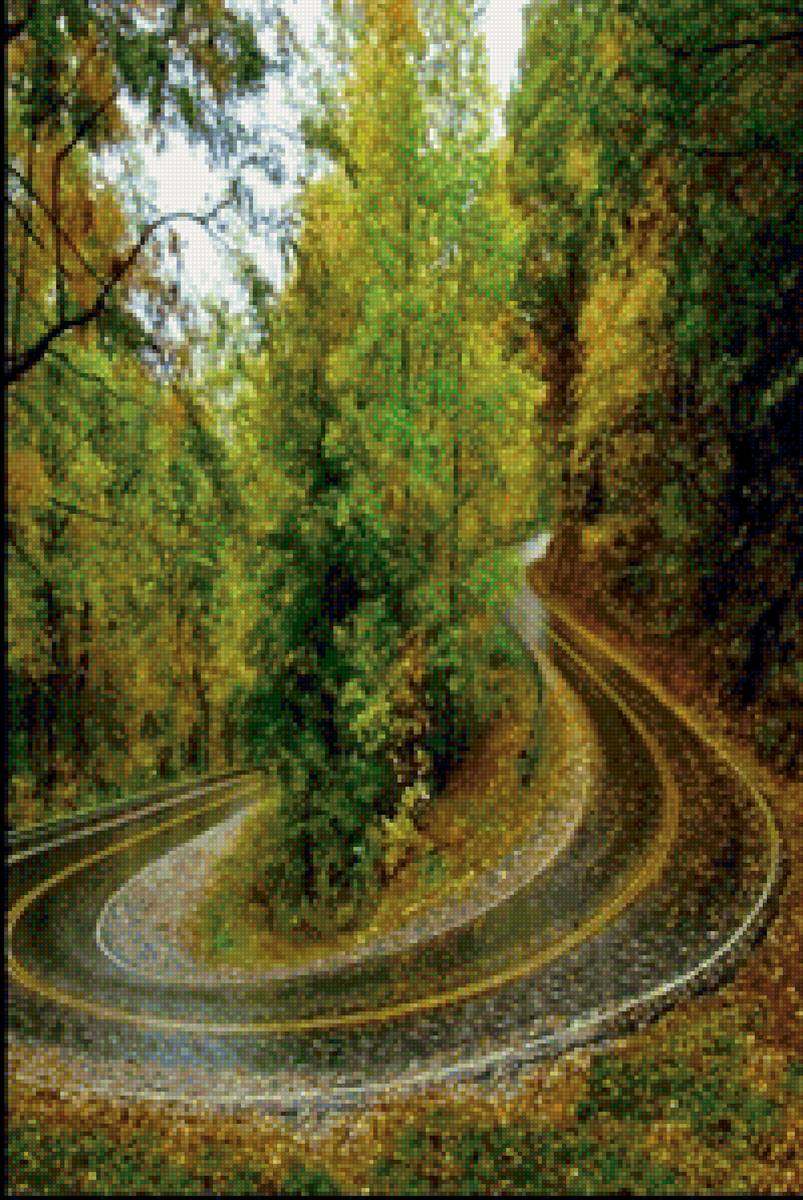 Летний лес - дорога, лето, лес - предпросмотр