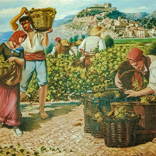 Схема вышивки «Harvest in Miravet.»