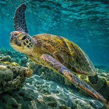 Схема вышивки «Океан»