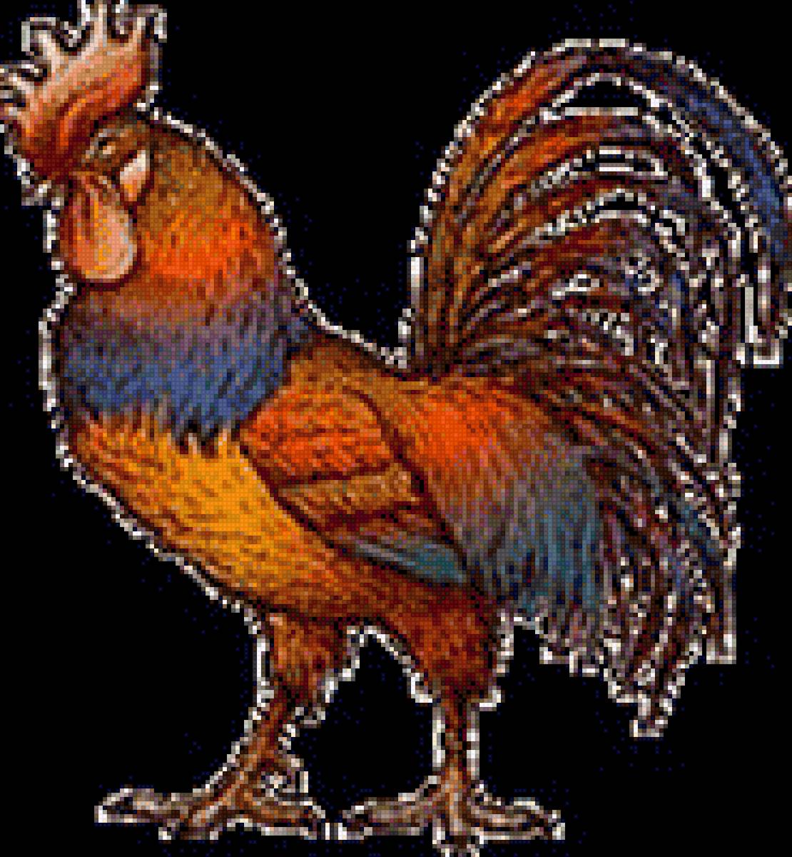 Петух - картинка, птица, петух - предпросмотр