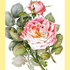 Оригинал схемы вышивки «Серия "Розы".» (№2047749)