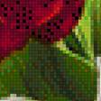 Предпросмотр схемы вышивки «отражение» (№2047752)