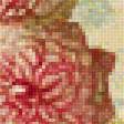 Предпросмотр схемы вышивки «№2047823»
