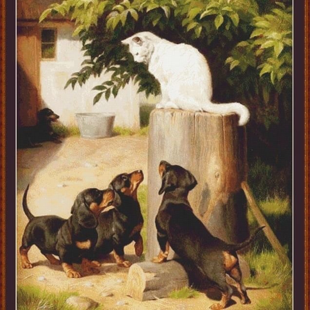 Таксы и кот - такса, порода, домашние животные, собаки, кот - оригинал