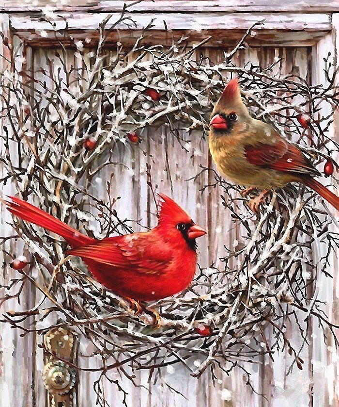 птицы - кардиналы, зима, птицы - оригинал