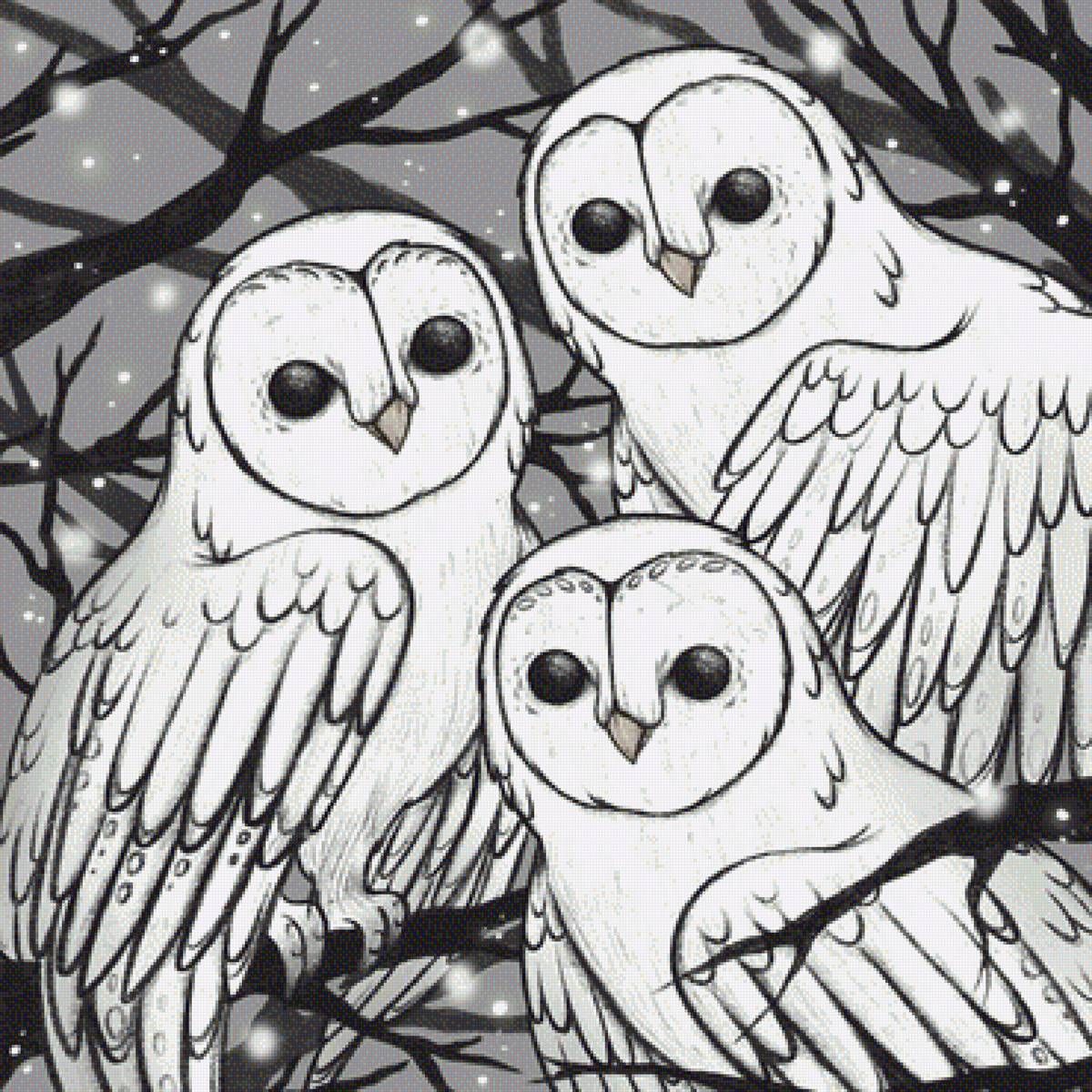 №2048251 - совы - предпросмотр