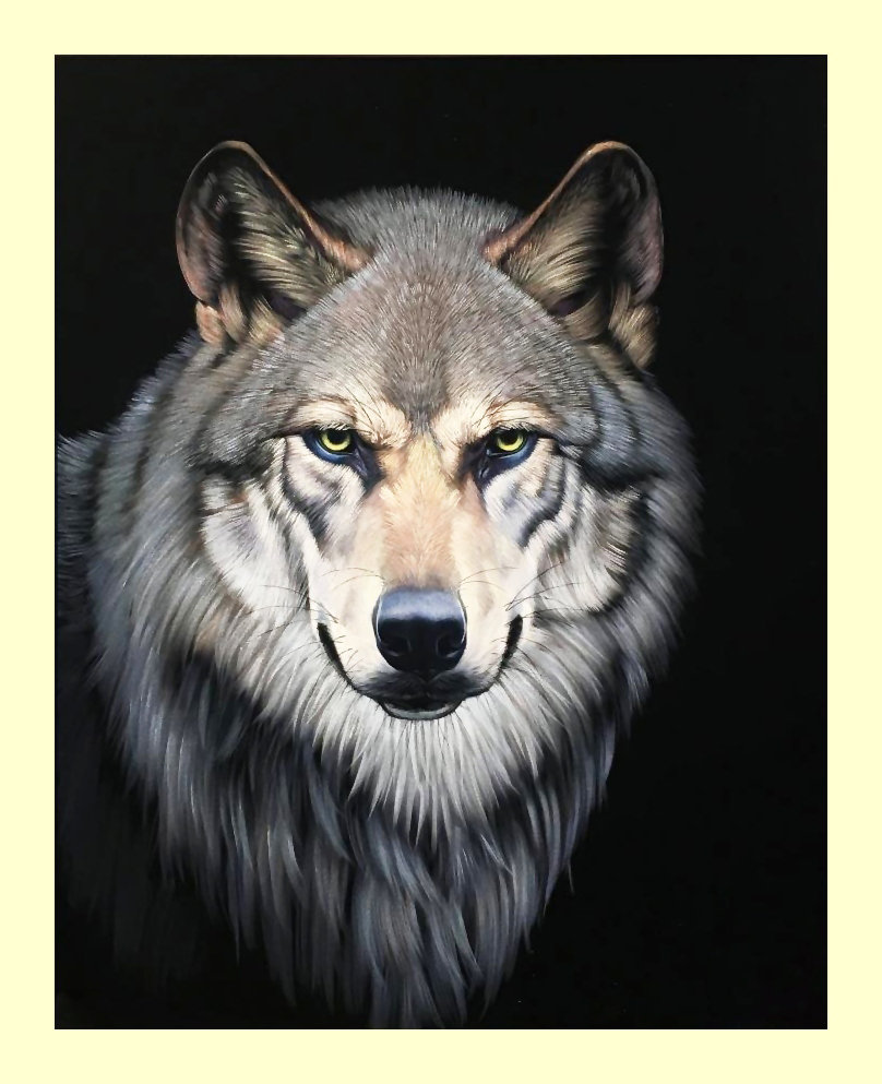 №2048313 - хищники, животные, волки - оригинал