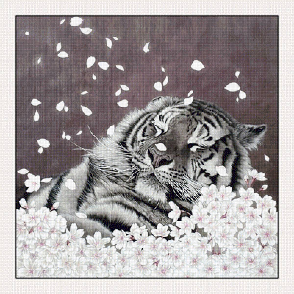 №2048371 - тигры, животные, тигр, хищники - предпросмотр