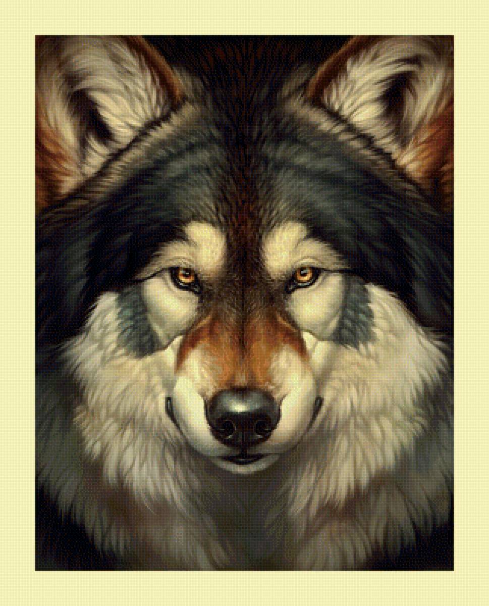 №2048380 - хищники, животные, волки - предпросмотр