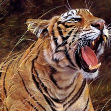 Схема вышивки «Тигр в гневе»