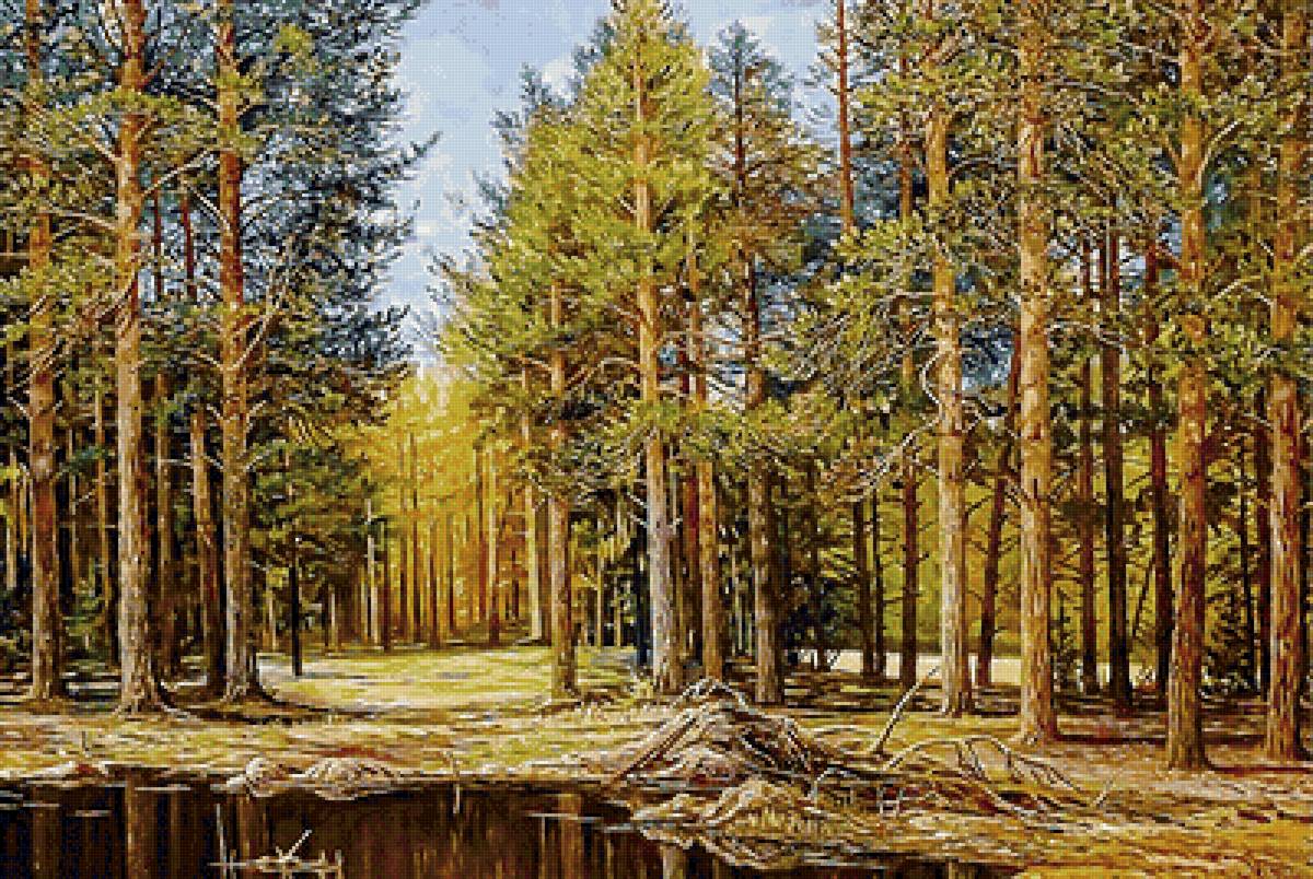 лесной пейзаж - сосны, пруд, пейзаж, лес - предпросмотр