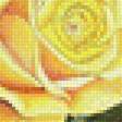 Предпросмотр схемы вышивки «Жёлтые розы.» (№2048796)