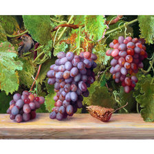 Схема вышивки «Виноград.»