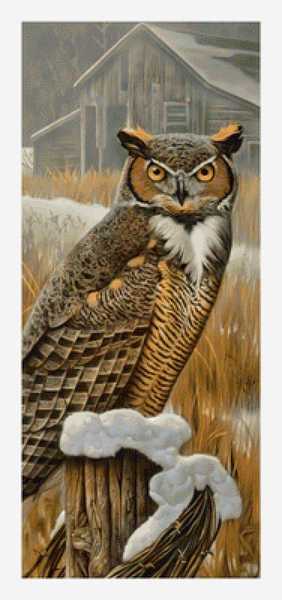 Филин. - хищник, птицы, филин, сова, живопись - предпросмотр