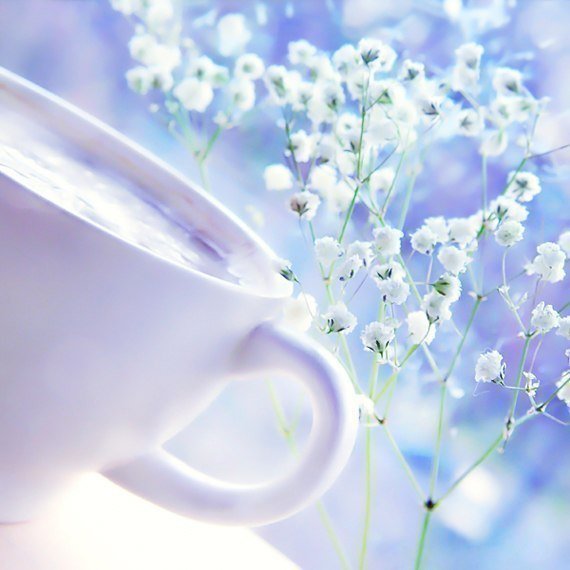 Гипсофилы1 - романтика, цветы, гипсофилы, весна, нежность, утро - оригинал