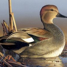 Схема вышивки «птицы»