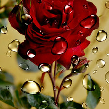 Схема вышивки «цветы»