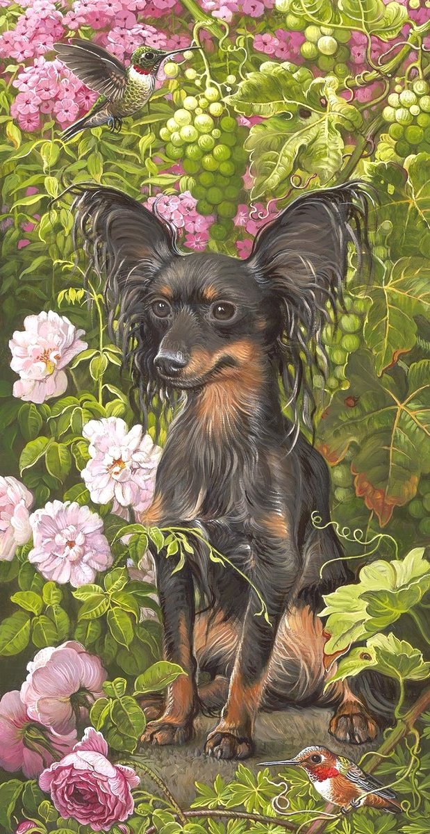 собака - оригинал