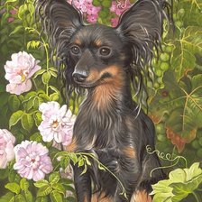 Схема вышивки «собака»