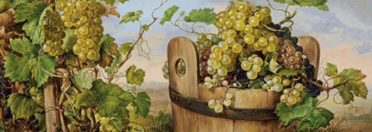 Виноградная лоза. - живопись, лоза, виноград, ягоды - предпросмотр