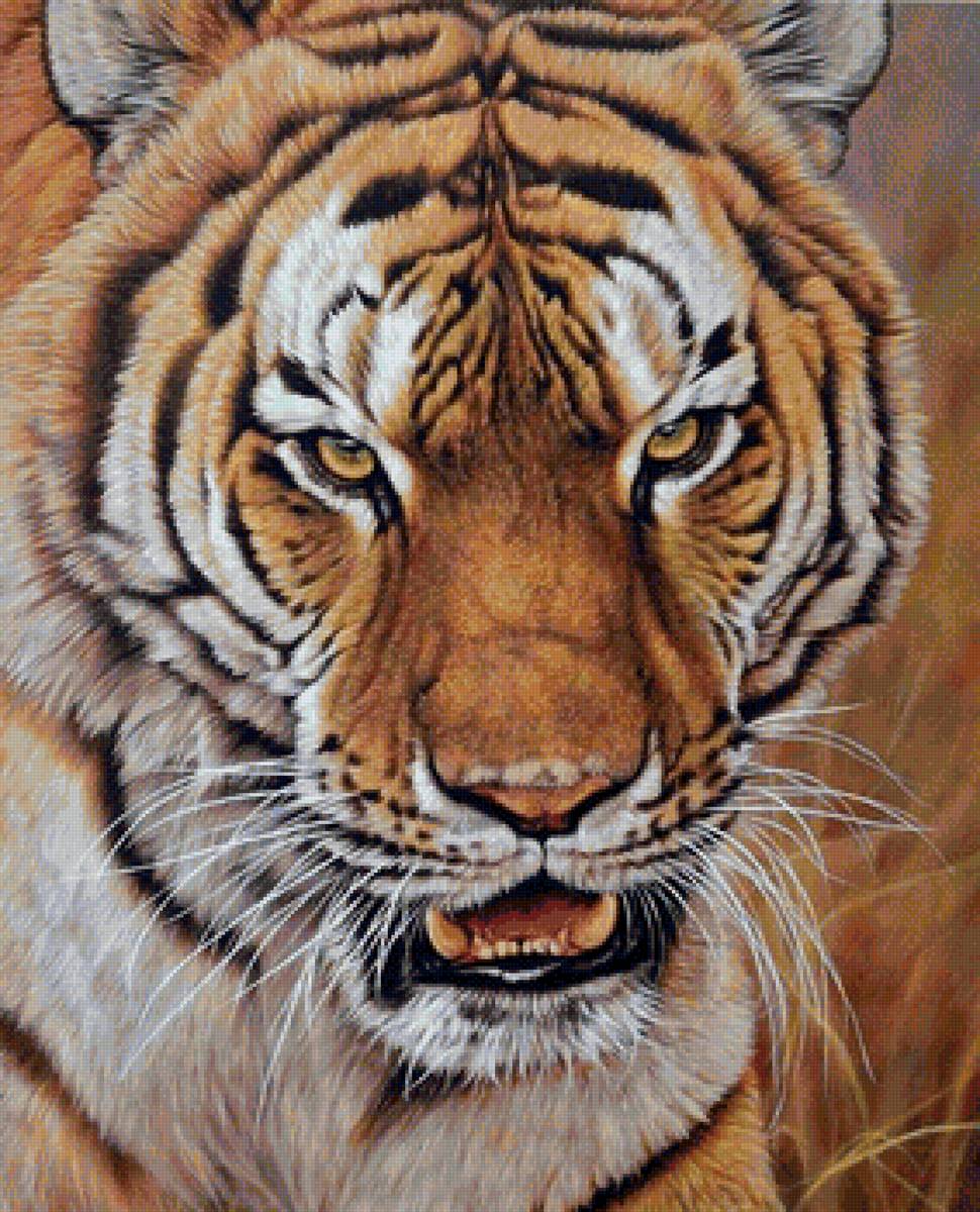 дикие - предпросмотр