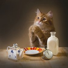 Схема вышивки «№2049912»