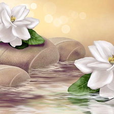 Схема вышивки «Белые цветы»