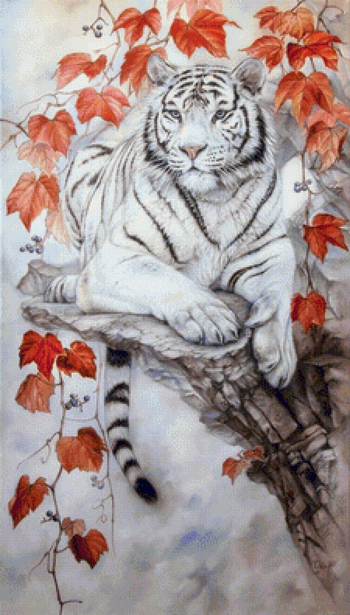Тигр - осень, клен, серый, тигр, барс - предпросмотр