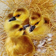 Схема вышивки «№2050181»