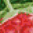 Предпросмотр схемы вышивки «ягодки» (№2050265)