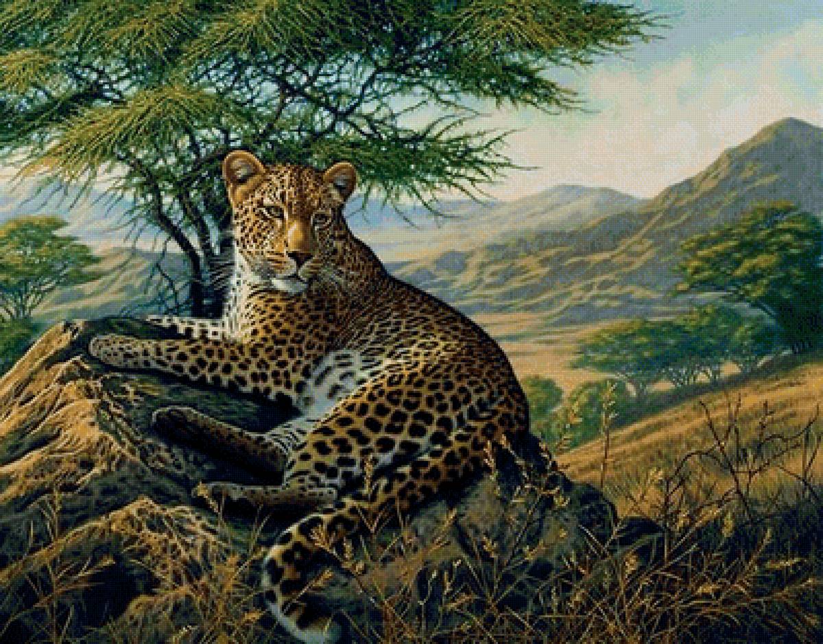 дикие - предпросмотр