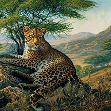 Схема вышивки «дикие»