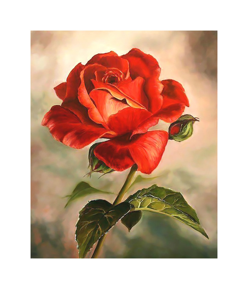 Роза. - живопись, цветок, роза - оригинал