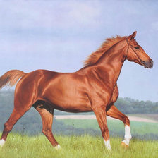 Схема вышивки «Худ. Сергеев Краса»