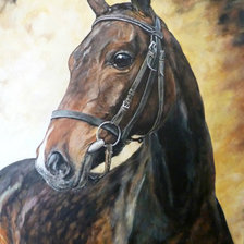 Схема вышивки «Портрет лошади»