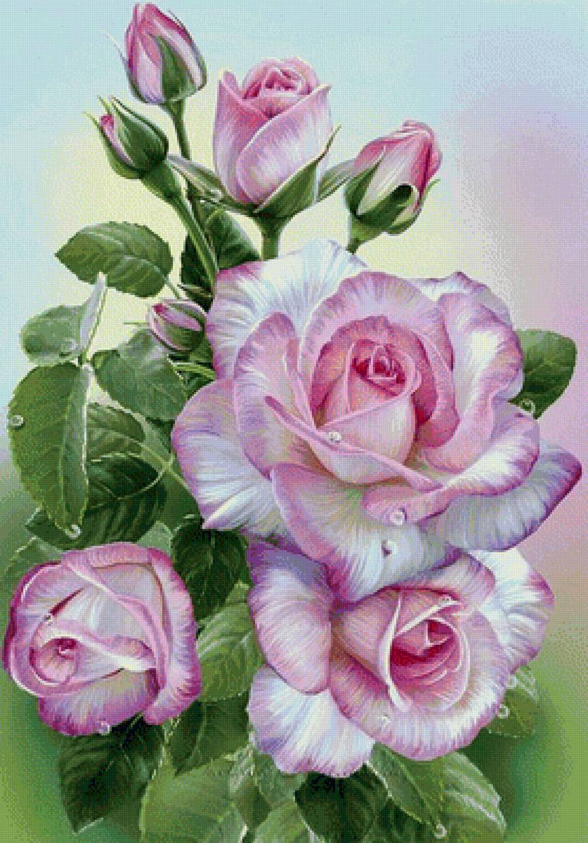 Розы - предпросмотр