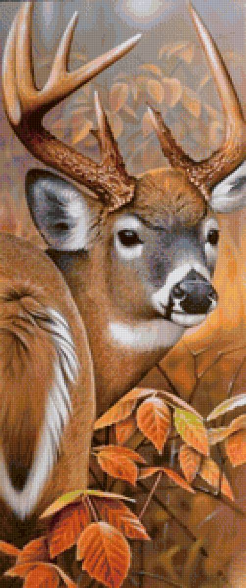 дикие - предпросмотр