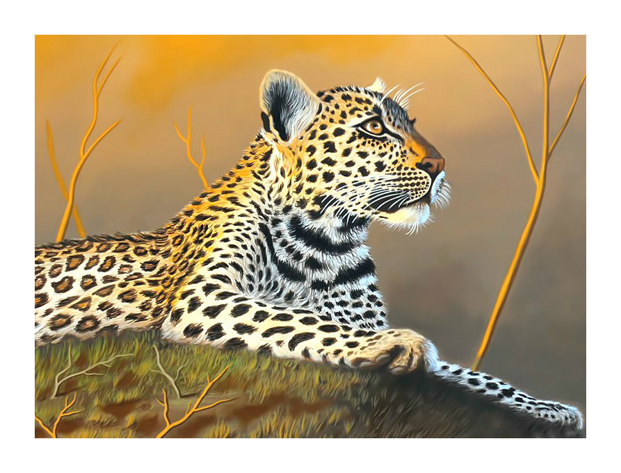 Леопард. - леопард, хищник, взгляд, животные, живопись - оригинал