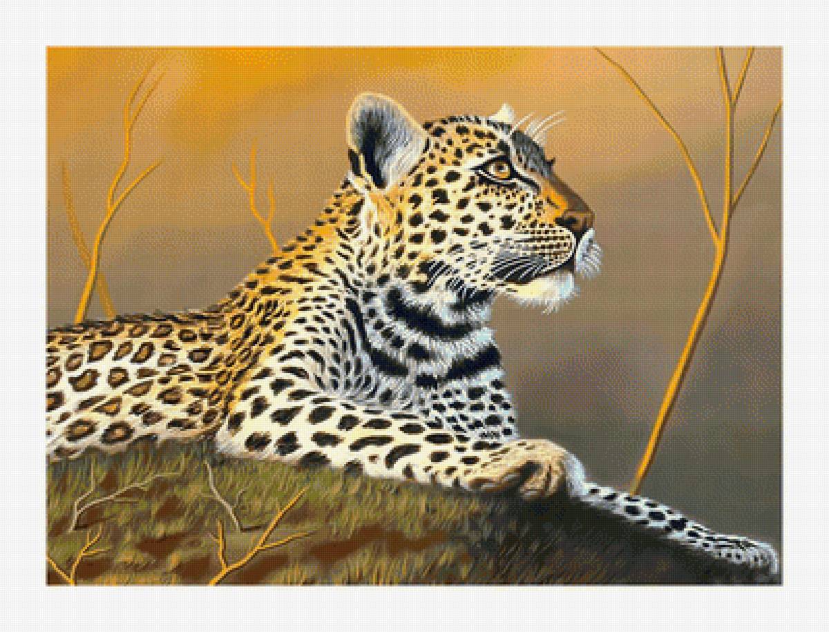 Леопард. - живопись, взгляд, леопард, хищник, животные - предпросмотр