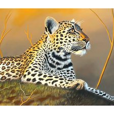 Схема вышивки «Леопард.»